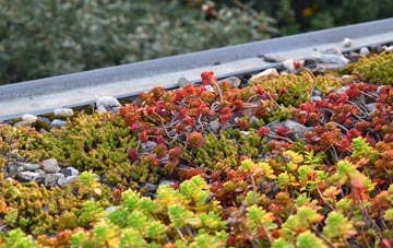 the cost of Brockagh green roof installation