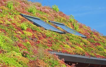 Brockagh living roof systems
